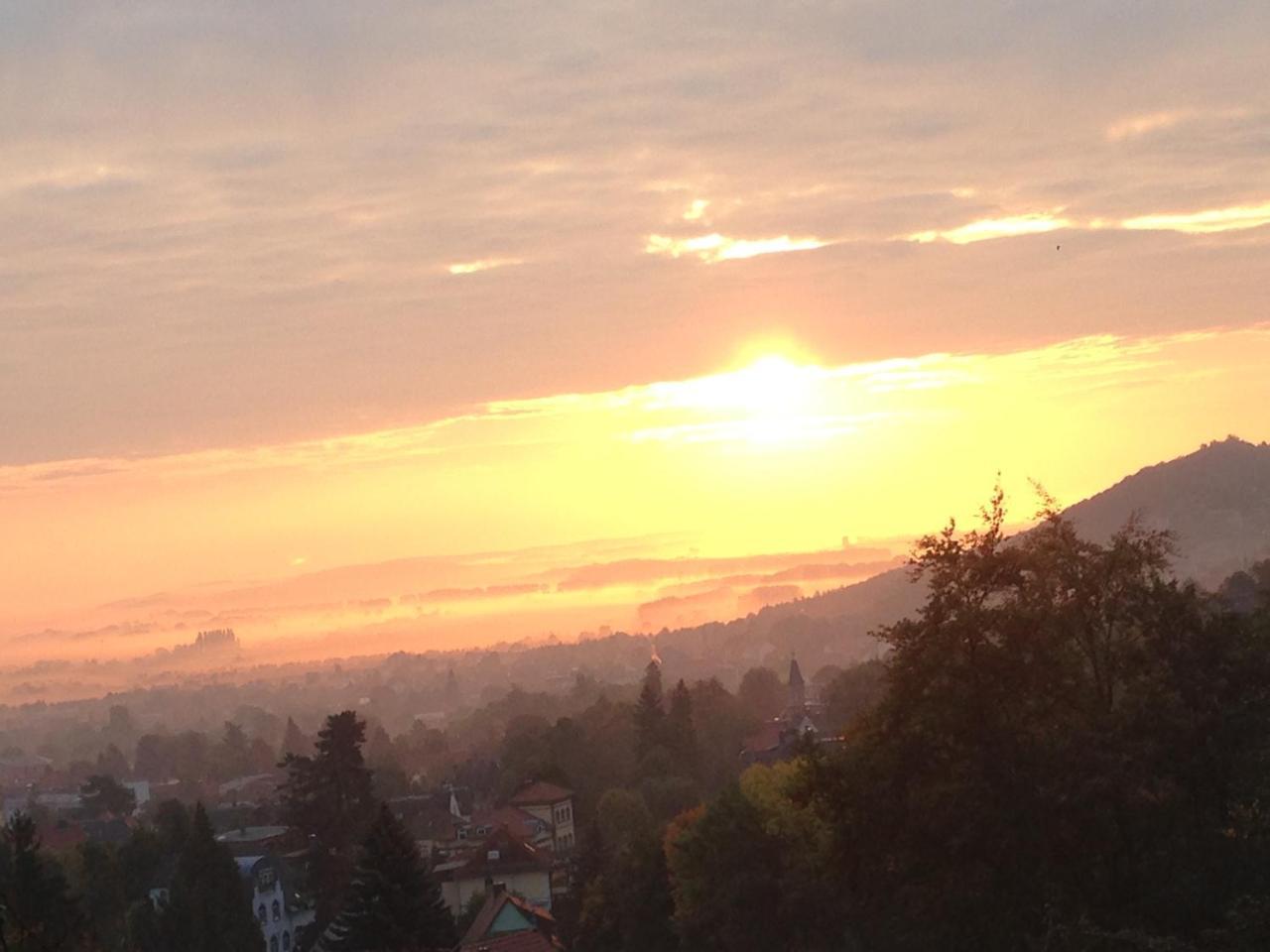 Ferienwohnung Am Eichenberg แบลงเคนบวร์ก ภายนอก รูปภาพ